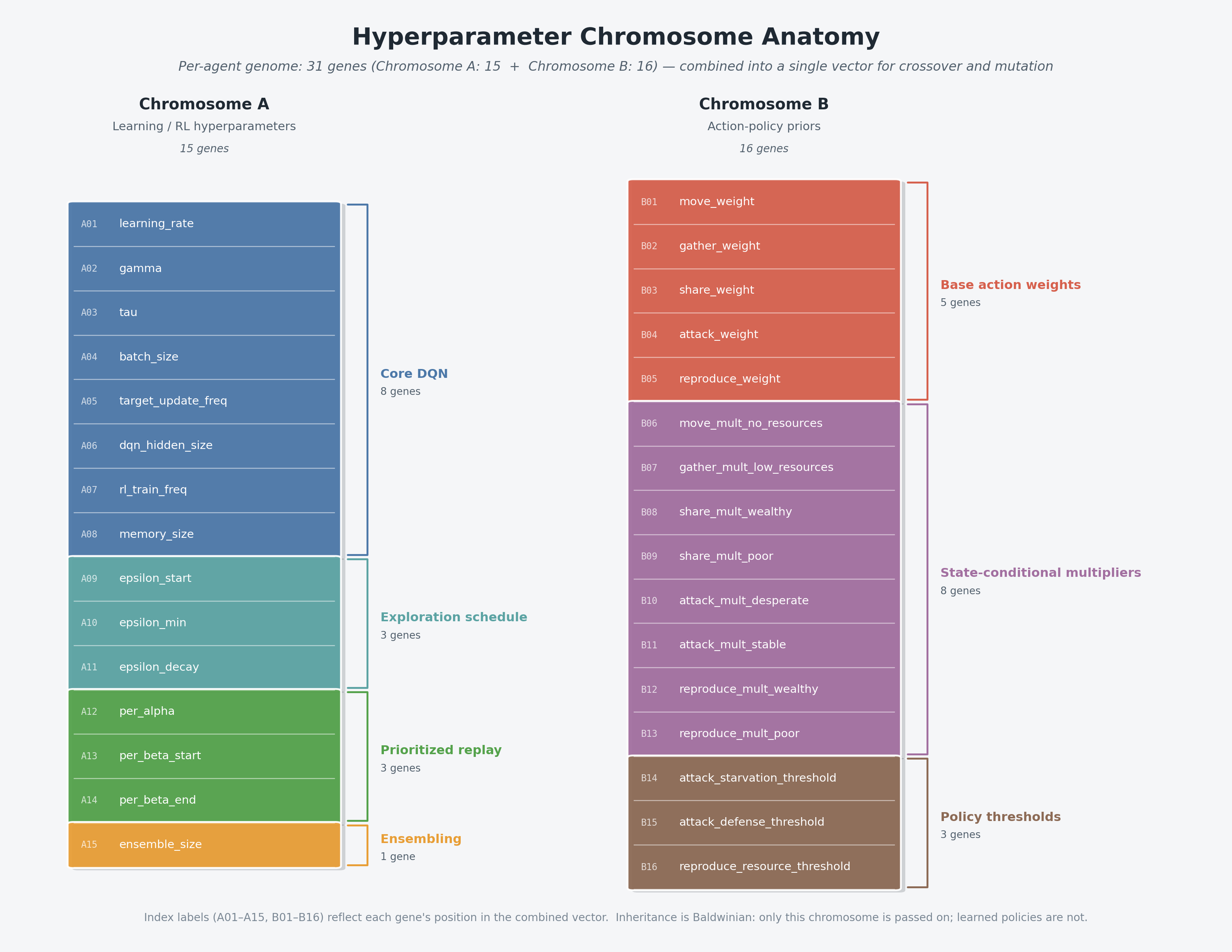 Hyperparameter chromosome anatomy